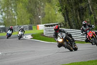 anglesey;brands-hatch;cadwell-park;croft;donington-park;enduro-digital-images;event-digital-images;eventdigitalimages;mallory;no-limits;oulton-park;peter-wileman-photography;racing-digital-images;silverstone;snetterton;trackday-digital-images;trackday-photos;vmcc-banbury-run;welsh-2-day-enduro